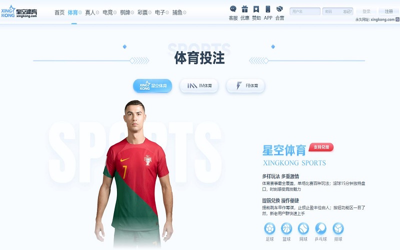 摩根体育 摩根体育